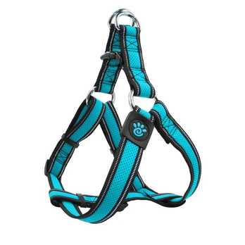 Petnešos Quick Fit, S