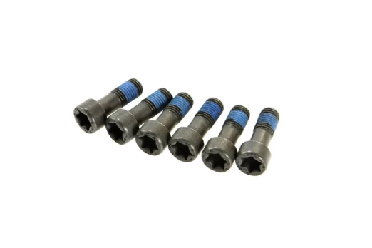LUK 411 0132 10 Flywheel bolt set