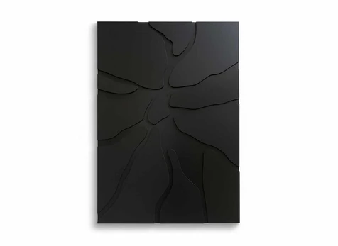Reprodukcija Onyx