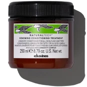 Davines Renewing atnaujinantis kondicionierius, 250 ml kaina