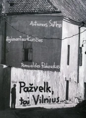 Pažvelk, tai Vilnius (DVD)