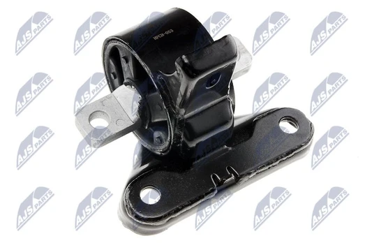 Variklio montavimas NTY ZPS-CH-053