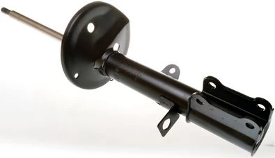 Amortizatorius DENCKERMANN DSB020G