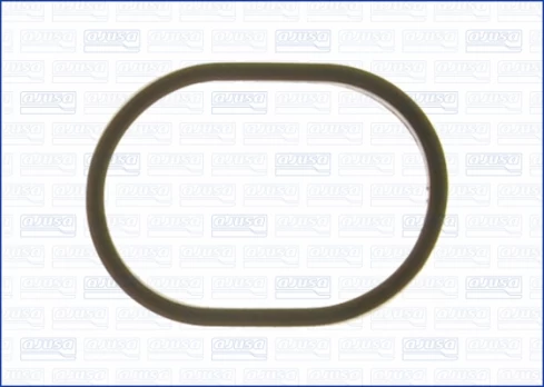 Termostato tarpinė AJUSA AJU01183900