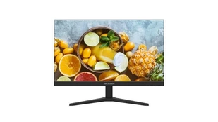 Monitorius Hikvision DS-D5024FN10 kaina