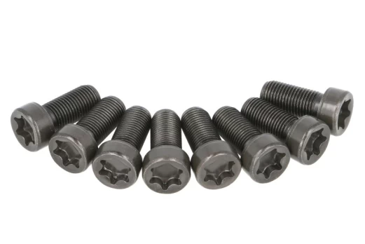 LUK 411 0230 10 Flywheel bolt set