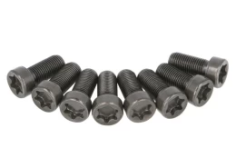 LUK 411 0230 10 Flywheel bolt set kaina