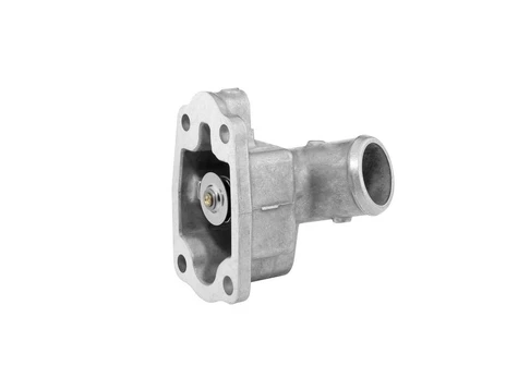 Termostatas, aušinimo skystis BorgWarner (Wahler) 410628.79D