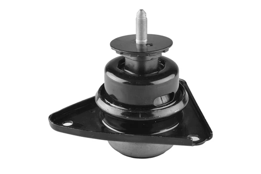 Variklio montavimas TEDGUM TED33753