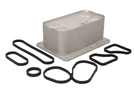 Alyvos radiatorius THERMOTEC D4R008TT