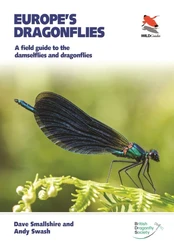 Europe's Dragonflies kaina