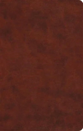 ESV Large Print Value Thinline Bible
