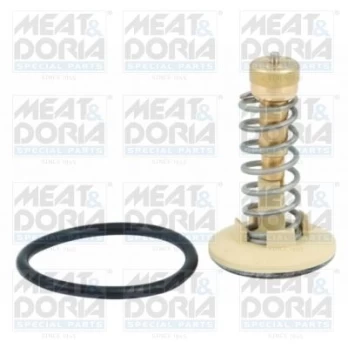 Termostatas, aušinimo skystis MEATDORIA 92646