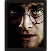 Plakatas Harry Potter vs Voldemort, 20x25 cm, 3D kaina