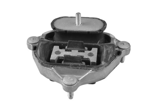 Variklio montavimas TEDGUM TED57535