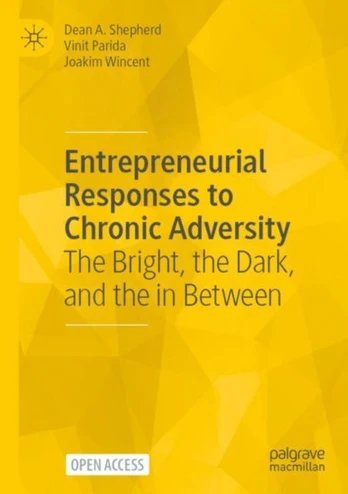 Entrepreneurial Responses to Chronic Adversity - Minkštas viršelis