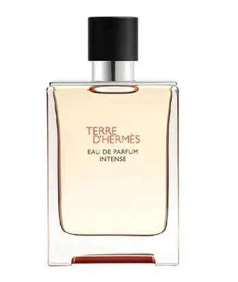 Hermes Terre D`Hermès Intense - EDP (plnitelná) 50ml Vyrams