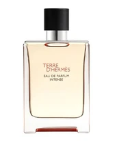 Hermes Terre D`Hermès Intense - EDP (plnitelná) 50ml Vyrams kaina