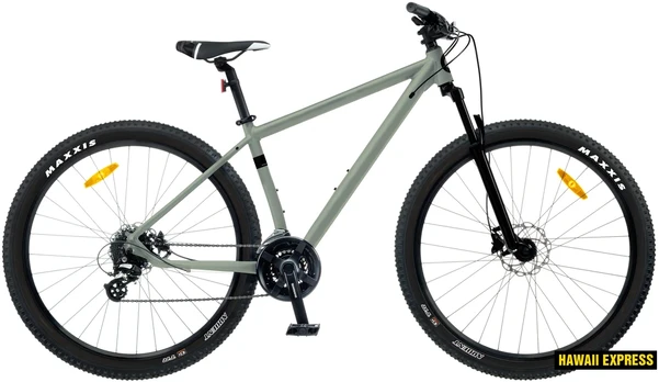 Dviratis 29 CLASSIC PRO 29+ 29 pilkas classic