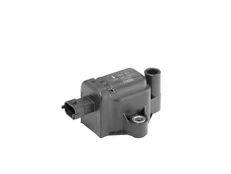 Ritė, uždegimas BorgWarner (BERU) ZS439