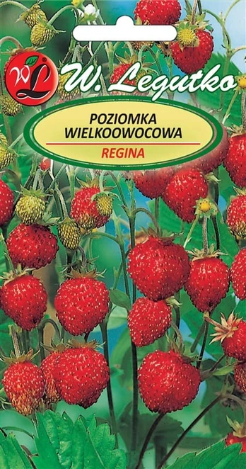 Sėklos, žemuogės Regina, 0.1 g