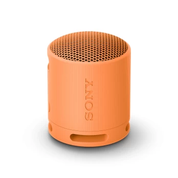 Garso kolonėlė SONY SRS-XB100D