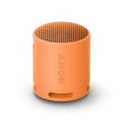 Garso kolonėlė SONY SRS-XB100D kaina