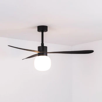 LED lubinis ventiliatorius „Amelia Ball L“, juodas, DC, tylus