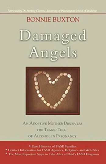 Damaged Angels