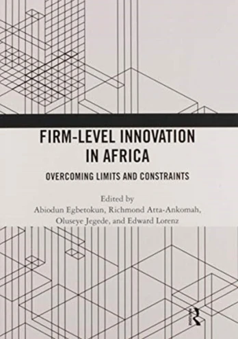 Firm-Level Innovation In Africa