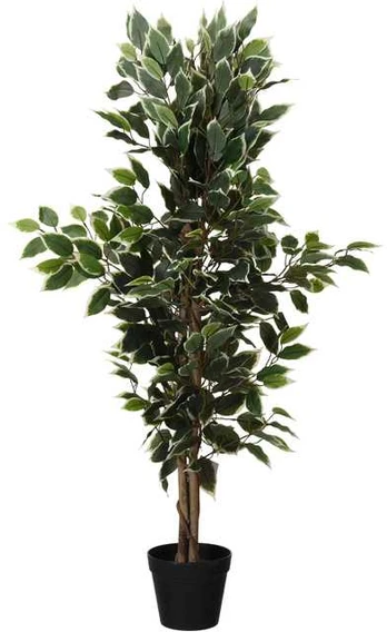 Dirbtinis fikusas juodame vazone, 115 cm
