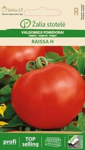 Valgomieji pomidorai Raissa H