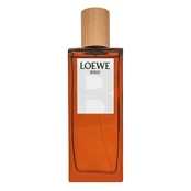 Loewe Solo EDT tualetinis vanduo vyrams, 50 ml kaina