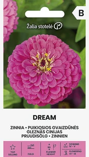Puikiosios jurgininės gvaizdūnės Dream