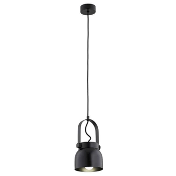 Argon pakabinamas šviestuvas Logan 8291