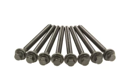 REINZ 14-32373-01 Cylinder head bolt set kaina