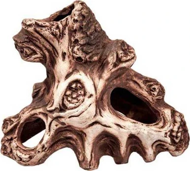 AQUA MAG Mag Ceramics Root 21991