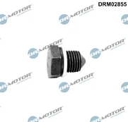 Alyvos išleidimo kaištis, alyvos karteris Dr.Motor Automotive DRM02855 kaina