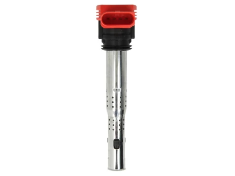 Ritė, uždegimas NGK 48041