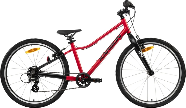 Dviratis Karbon Superlight 24 red
