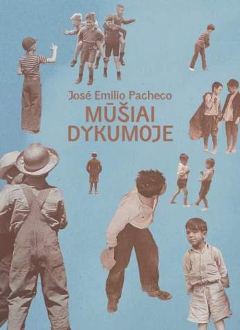 Mūšiai dykumoje