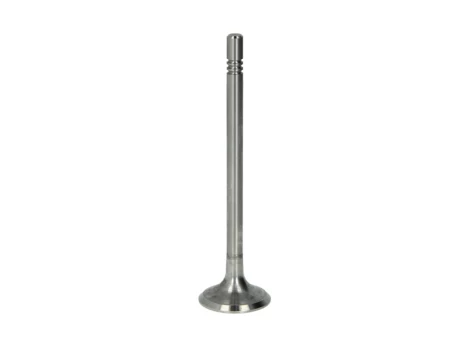 FRECCIA 6690/S Inlet valve