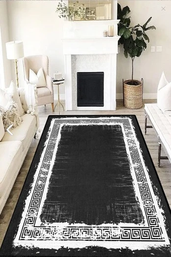 Asir kilimas Avangard 160x230 cm