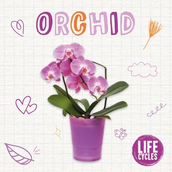 KNYGA Brenda Mchale Orchidėja