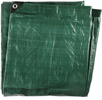 Pārsegs tarmo pe 80g 2x3m 258429