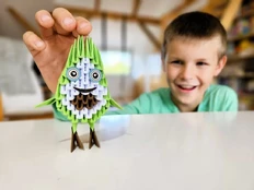 Origami 3D Awokado / Avocado 28294 kaina