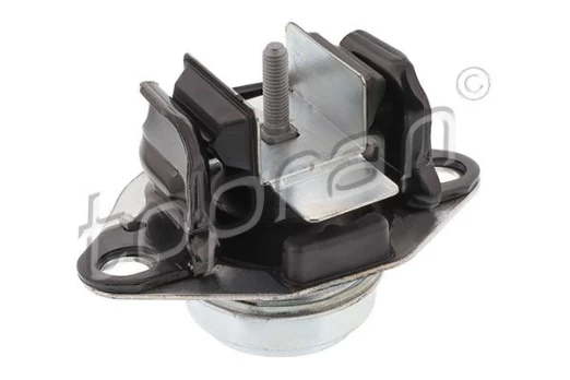Variklio montavimas TOPRAN 700 554