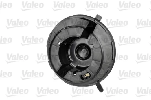Vidaus pūtiklis VALEO 698809