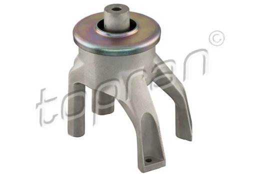 Variklio montavimas TOPRAN 113 926