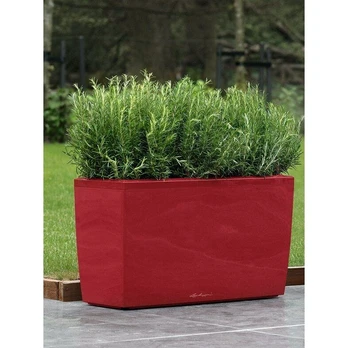 Vazonas Cararo LECHUZA, scarlet red